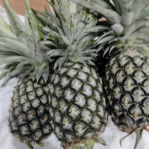 Pineapple with Crown | Fresh Fruits Singapore
