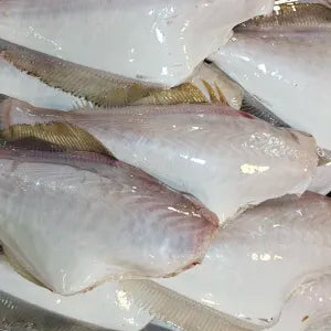 Leather Jacket Skin off  - Fresh | Fresh Seafood Singapore