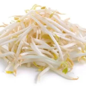 Taugeh grocery product available in Singapore from Shah Fresh Frozen