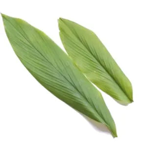 Tumeric Leaves / Daun Kunyit