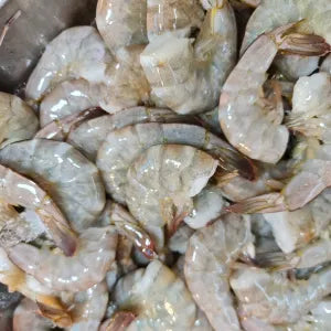 Headless Tiger/ Glass  Prawn  - Fresh | Fresh Seafood Singapore