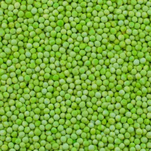 Sago Seed - Green grocery product available in Singapore from Shah Fresh Frozen