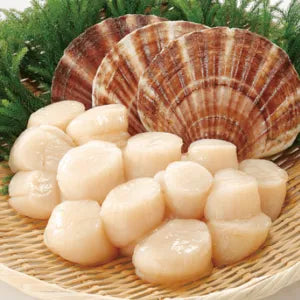 Large Scallop Meat | Fresh Seafood Singapore