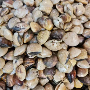 LaLa  - FRESH/- Chilled  | Fresh Seafood Singapore