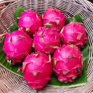 Red Dragon-Fruit | Fresh Fruits Singapore