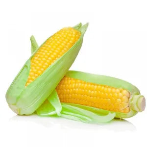 Fresh Corn