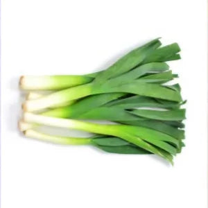 Leek