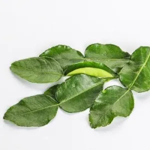 Pomelo leaf grocery product available in Singapore from Shah Fresh Frozen