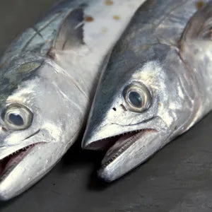 Tenggiri Head - Fresh | Fresh Seafood Singapore