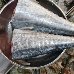 Tenggiri Body Only  - Fresh | Fresh Seafood Singapore