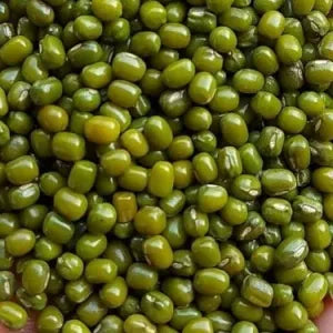 Green Bean (Moong Seed) grocery product available in Singapore from Shah Fresh Frozen