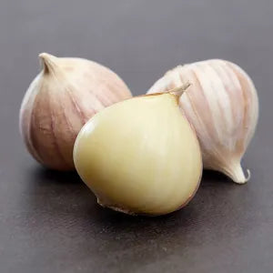 Solo Garlic