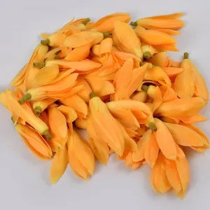 Yellow/White Champak grocery product available in Singapore from Shah Fresh Frozen