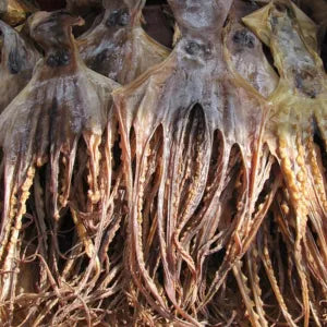 Dried Cuttlefish Head grocery product available in Singapore from Shah Fresh Frozen