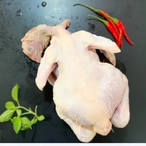 Kampung Chicken | Fresh Chicken Singapore