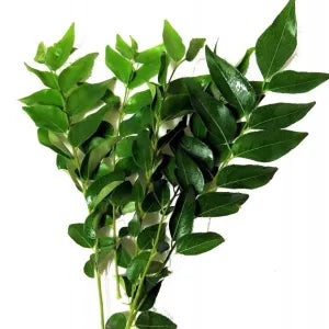 Curry Leaves