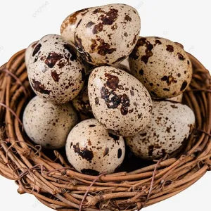Fresh Quail Eggs Tray grocery product available in Singapore from Shah Fresh Frozen
