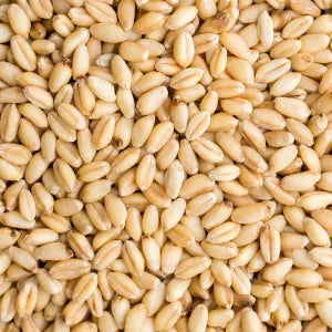 White Wheat - Terigu grocery product available in Singapore from Shah Fresh Frozen
