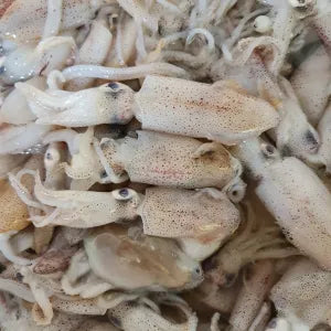Baby Sotong  - Fresh | Fresh Seafood Singapore