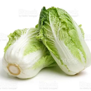 Chinese Cabbage