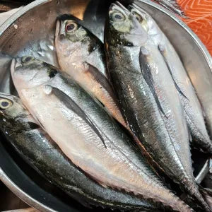 Chincharu - Fresh | Fresh Seafood Singapore