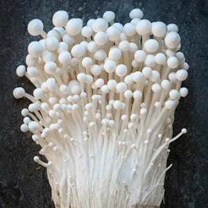 Enoki Mushroom