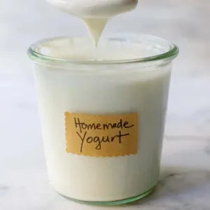 Yogurt (Thairu) grocery product available in Singapore from Shah Fresh Frozen