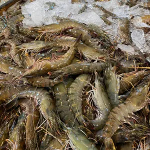 Tiger Prawns | Fresh Seafood Singapore