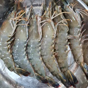Tiger Prawns  - Fresh | Fresh Seafood Singapore