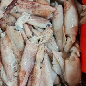 Sotong  - Fresh | Fresh Seafood Singapore