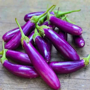 Purple Brinjal