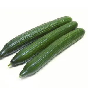Japanese Cucumber