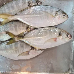 Bentong - Fresh | Fresh Seafood Singapore