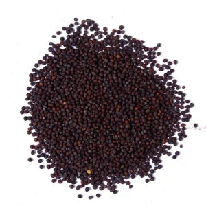 Mustard Seed Black
