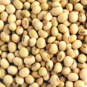 Soya Bean grocery product available in Singapore from Shah Fresh Frozen