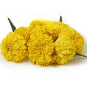 Indian Koli Poo (80-100g) grocery product available in Singapore from Shah Fresh Frozen