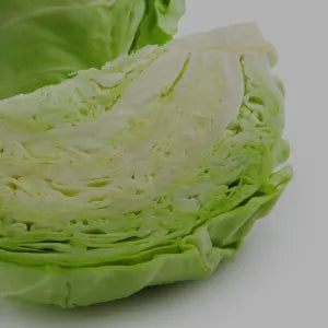 Cabbage