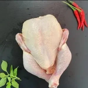 Spring Chicken Frozen | Fresh Chicken Singapore