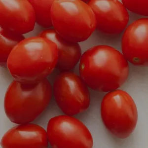 Cherry Tomato