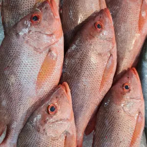 Ikan Merah Body only  - Fresh | Fresh Seafood Singapore