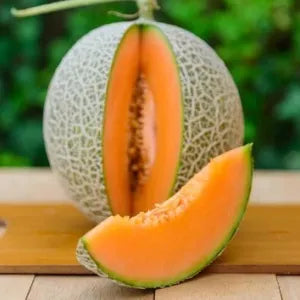 Australian Rockmelon | Fresh Fruits Singapore