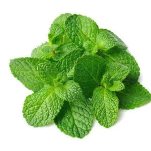 Mint Leaves