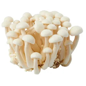 White Beech Mushroom