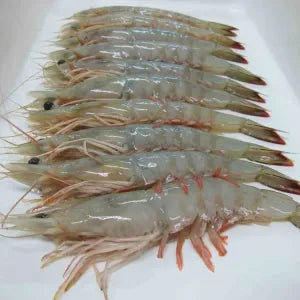 Grey Prawn  - Fresh | Fresh Seafood Singapore