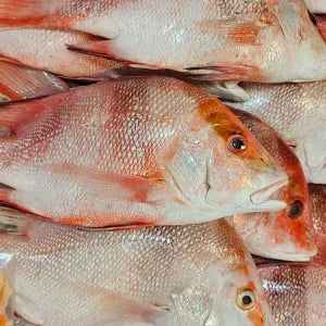 Whole Ikan Merah  - Fresh | Fresh Seafood Singapore
