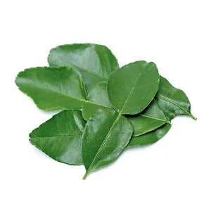 Daun Limau