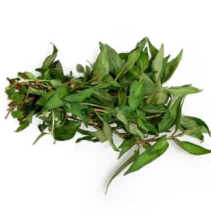 Laksa Leaves / Daun Kesum