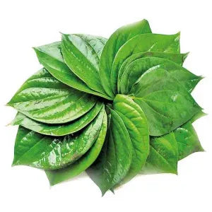 Betel Leaves - Daun Sirih grocery product available in Singapore from Shah Fresh Frozen